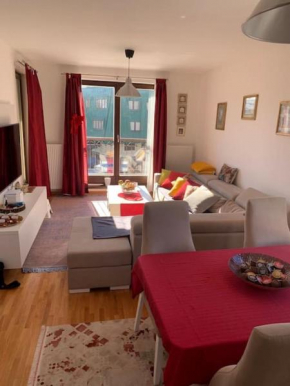 Lovely 1bedroom condo with free parking-Bjelasnica